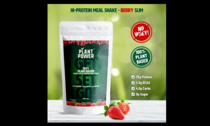 plant power protein shake